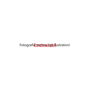 Těsnění – výfukový systém Bosal (BOSAL 256-290) 5657165