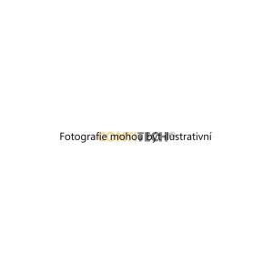Klínový řemen (CONTITECH AVX13X1575) 9421674 Klínový řemen (CONTITECH AVX13X1575) 9421674
