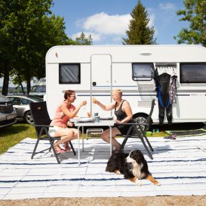 Koberec do předstanu a pod markýzu 250 × 400 cm, 480 g/m², PVC/Textilen, šedý s taškou 308504 Koberec do předstanu a pod markýzu 250 × 400 cm, 480 g/m², PVC/Textilen, šedý s taškou 308504