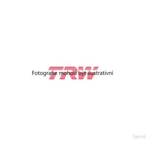 Brzdové destičky (TRW GDB1276) 4545159